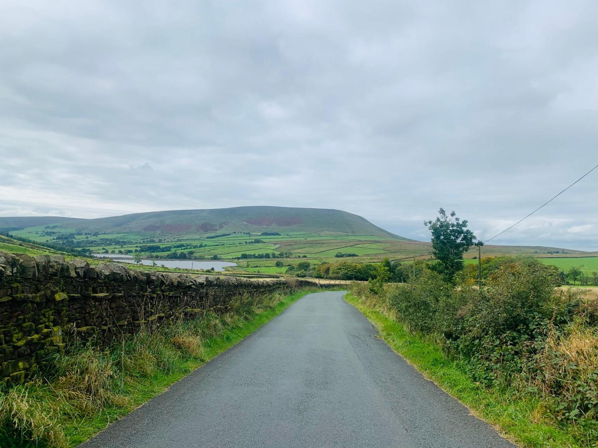 Tilly - Overlooking Pendle Hill Barrowford